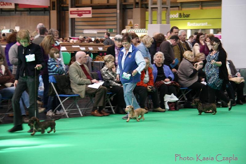 Crufts2011_2 782.jpg